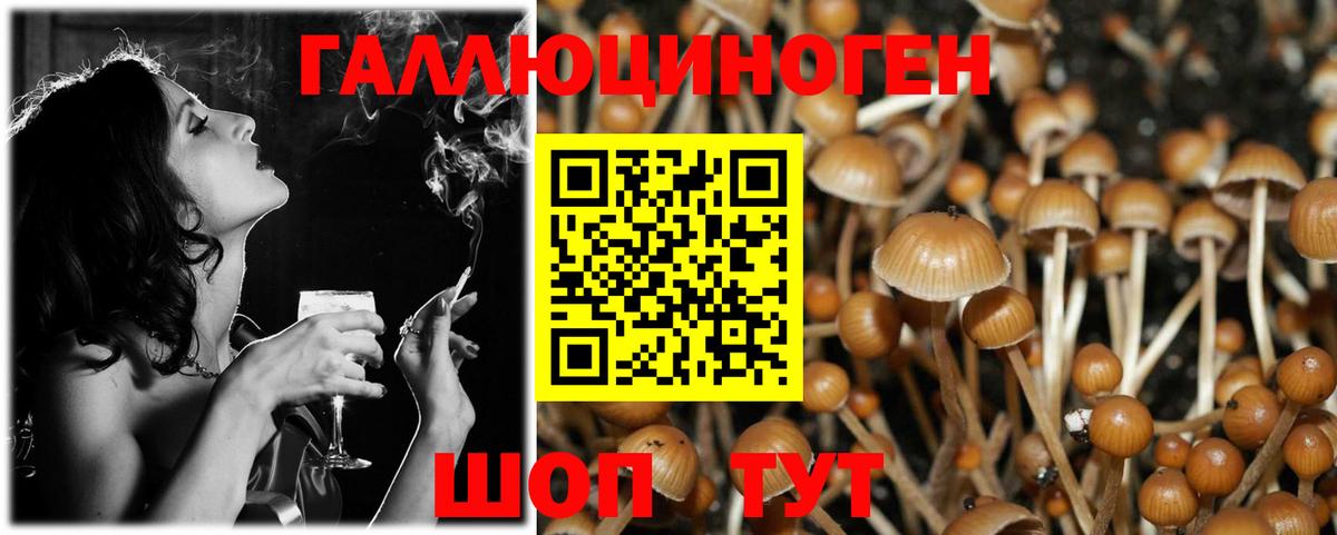 Галлюциногенные грибы GOLDEN TEACHER  Псилоцибиновые грибы Psilocybine cubensis  Великие Луки  Вход с VPN 